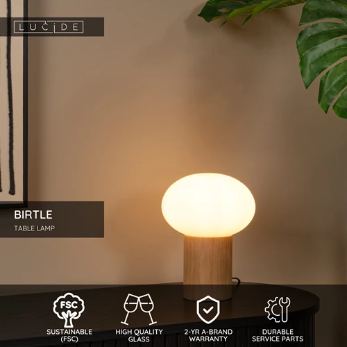Lucide BIRTLE - Table lamp - 1xE14 - Opal - USP